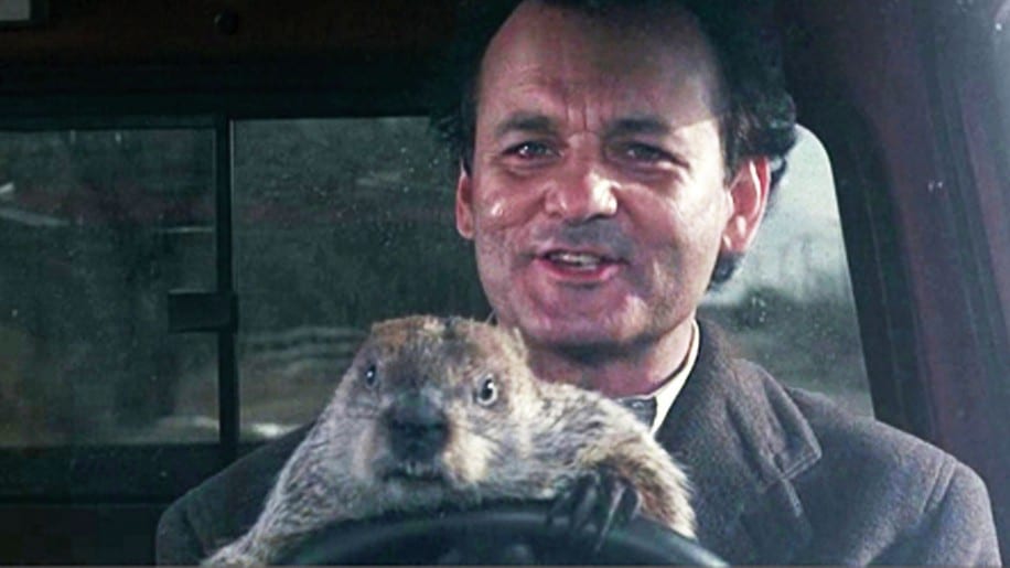 crave catering, catering in austin, austin catering, groundhog day, groundhog day 2015, winter, february 2, bill murray, best catering, best caterers in austin